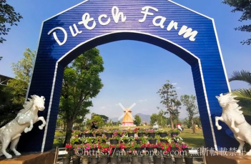 タイ　チェンマイ旅行　Dutch Farm　ダッチファーム　馬　ポニー　動物