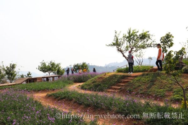 タイ　チェンマイ旅行　山　モンチェム Mon Cham 景色　風景　ベストシーズン外　ハイシーズン外　大気汚染　花畑　いちご